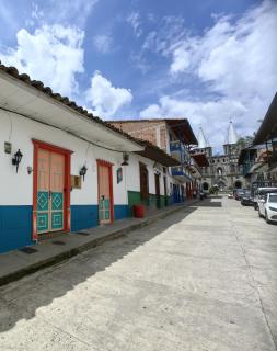 Hotel Colonial - Jardin - 0