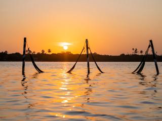 Pousada e Restaurante Paraíso Natural - 1