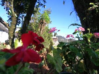 Lakleen holiday home - 4