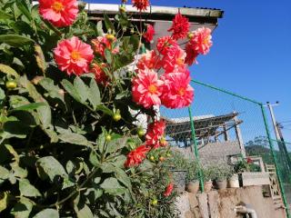 Lakleen holiday home - 3