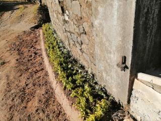 Lakleen holiday home - Nuwara Eliya - 1
