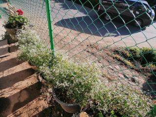 Lakleen holiday home - 2