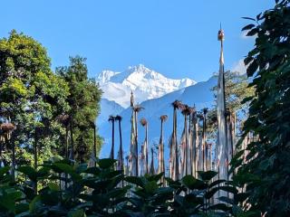 Mochilero Ostello 2, Pelling - Pelling - 0