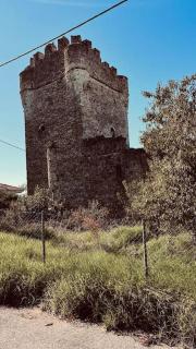 Jasmine maisonette - 2