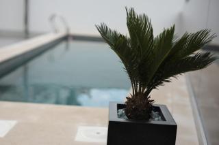 Apartment Fleur - Postira - 7