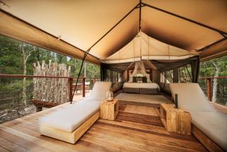 Paperbark Camp - Woollamia - 5
