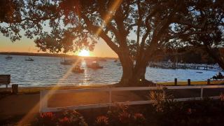 Hananui Lodge and Apartments - 2