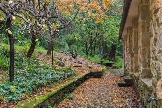 The Croft - Enchanting Bowral stone cottage - Bowral - 4