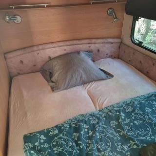 Camping - Ostrowite - 8