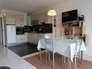 Appartement 2 pièces avec terrasse à 500m des commerces, parking privé - FR-1-731-100 - Le Grau-du-Roi - 7