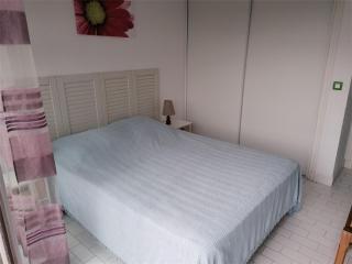 Appartement 2 pièces avec terrasse à 500m des commerces, parking privé - FR-1-731-100 - Le Grau-du-Roi - 3