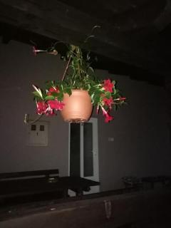 Apartman Adam - Rakovica - 5