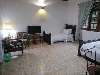 The Kingston Court - Kandy - 1