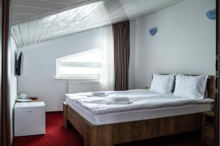 Vila Edelweiss - Predeal - 3