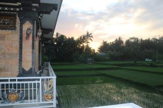TIARA guest house - Ubud - 4
