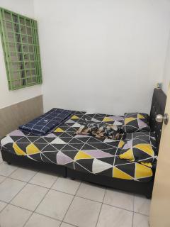 Momies house - 1