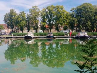 Kernou Tala Lila - 9