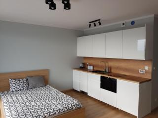 Tauzen Apartaments - Katowice - 1