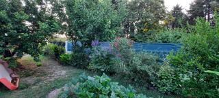 Mas - Beaucaire - 2