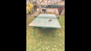 Franky's home entre les vignes - Scherwiller - 8