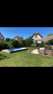 Franky's home entre les vignes - Scherwiller - 7