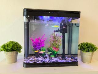 Langkawi Simfoni Lavanya Suite 07 - Kuah - 7