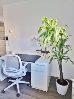 Apartamento renovado cerca zona vieja - Santiago de Compostela - 1