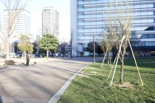 松が丘1丁目 - Tokyo - 1