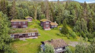 Frøy&Frøya Hyttetun - Skammestein - 0