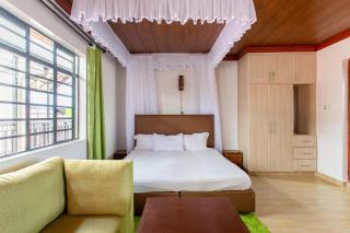 Spacious Penthouse Rooftop Studio with King bed - Nairobi - 9