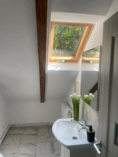 Cabana Cascada Lotrisor - Călimăneşti - 9