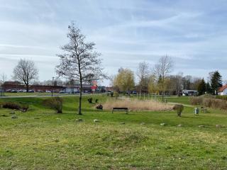 Pension 28 - Zimmer 1-3 - Velgast - 8