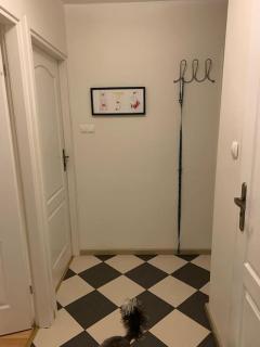 Sunny and Comfortable Double Bedroom - Danzig - 4