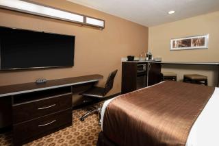 Microtel Inn and Suites Pecos - Pecos - 5