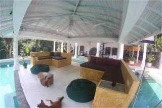 The Travellers palm - Mirissa - 9