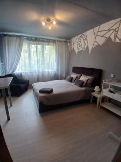 Spacious ground floor apartment Aurora - Kupiškis - 0