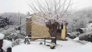 locazione turistica la Doccia - Bagnena - 9