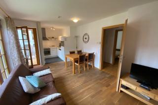Christina 3 by SMR Rauris Apartments - close to Gondola and Spa - Rauris - 8