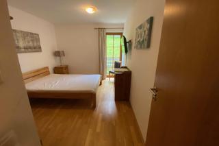 Christina 3 by SMR Rauris Apartments - close to Gondola and Spa - 4