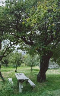 Artanish Guest House - Artanish - 9
