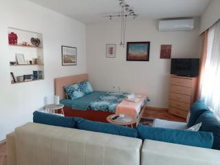 Fina Apartman - Leskovac - 5