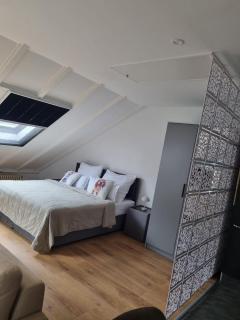 Ferienwohnung am Rheinpark - 5