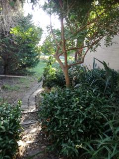 Erf 473 Fisherhaven - 1