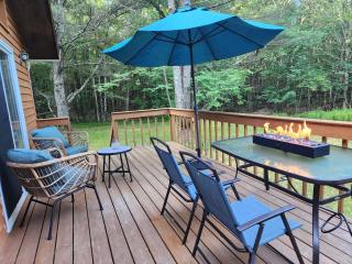 Rustic Catskills Cabin with Hot Tub and Mountain Views - Prattsville - 9