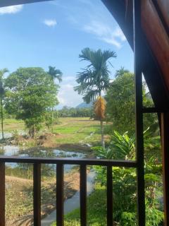 Darma Homestay - Bohorok - 4