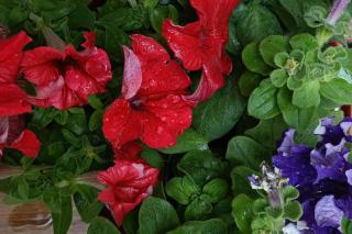 City Center Studio -Braga - 0