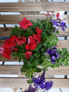 City Center Studio -Braga - 7