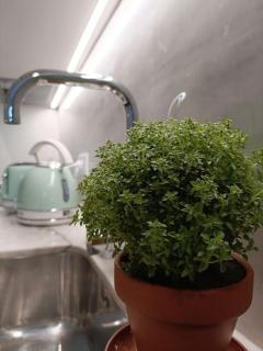 City Center Studio -Braga - 6