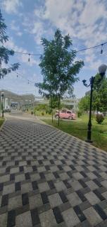 vip - Tashkent - 1