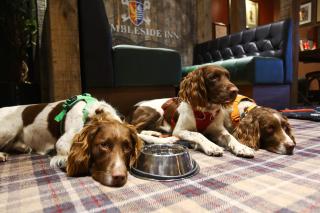 The Swallow Falls Inn - The Inn Collection Group - Betws-y-coed - 3